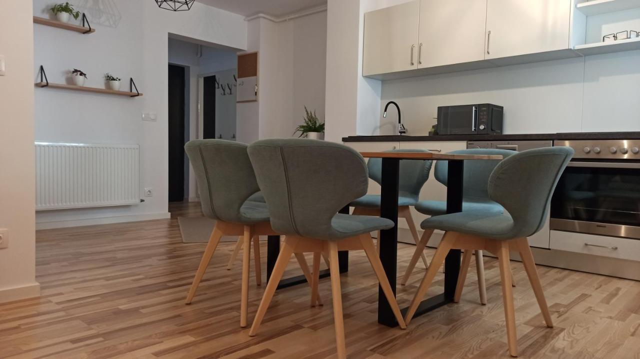 Chrysanthemum Apartment Sighisoara Bagian luar foto
