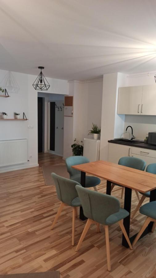 Chrysanthemum Apartment Sighisoara Bagian luar foto