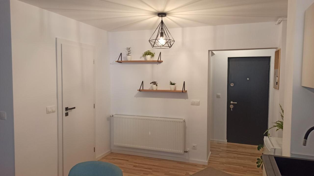 Chrysanthemum Apartment Sighisoara Bagian luar foto