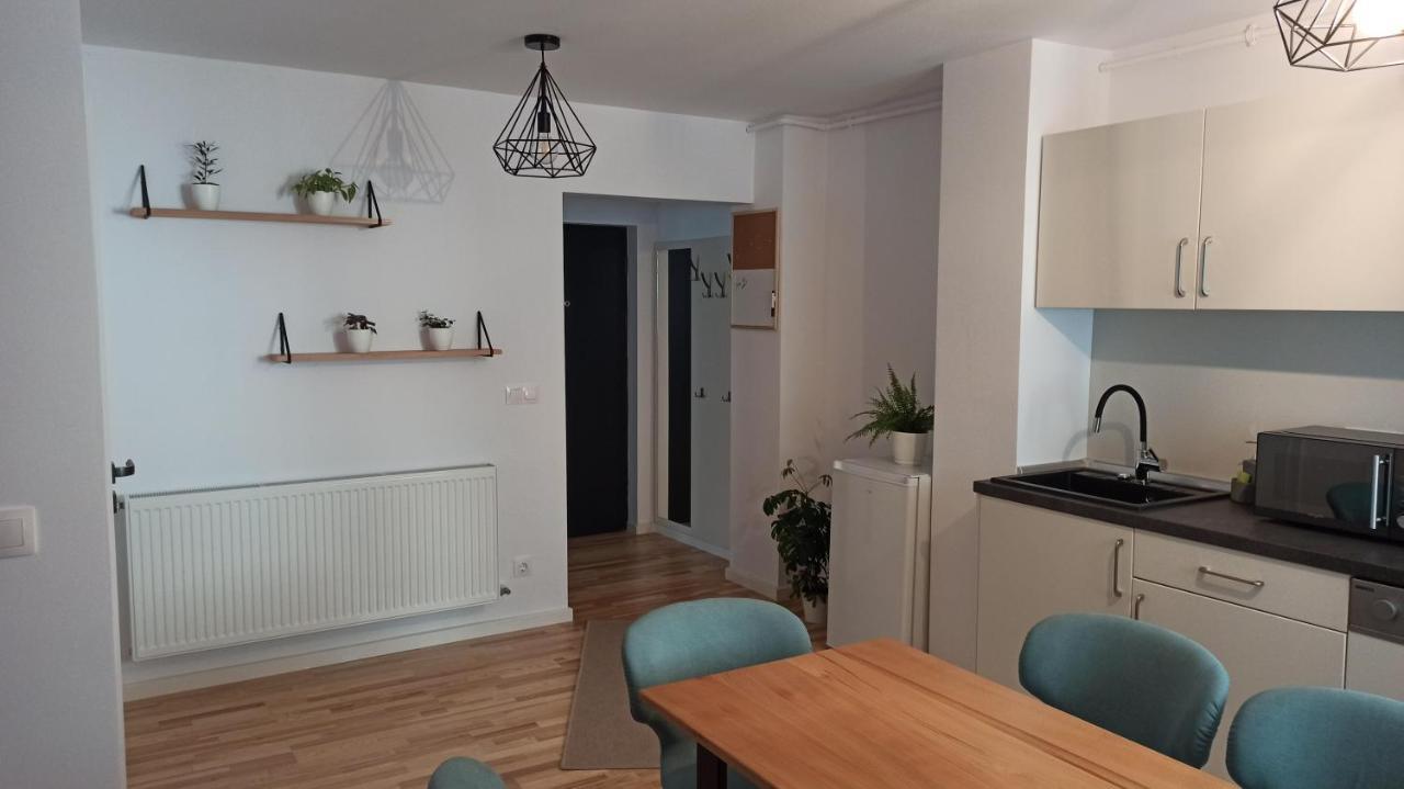 Chrysanthemum Apartment Sighisoara Bagian luar foto