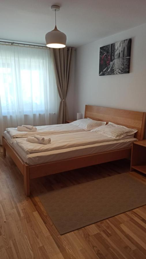 Chrysanthemum Apartment Sighisoara Bagian luar foto
