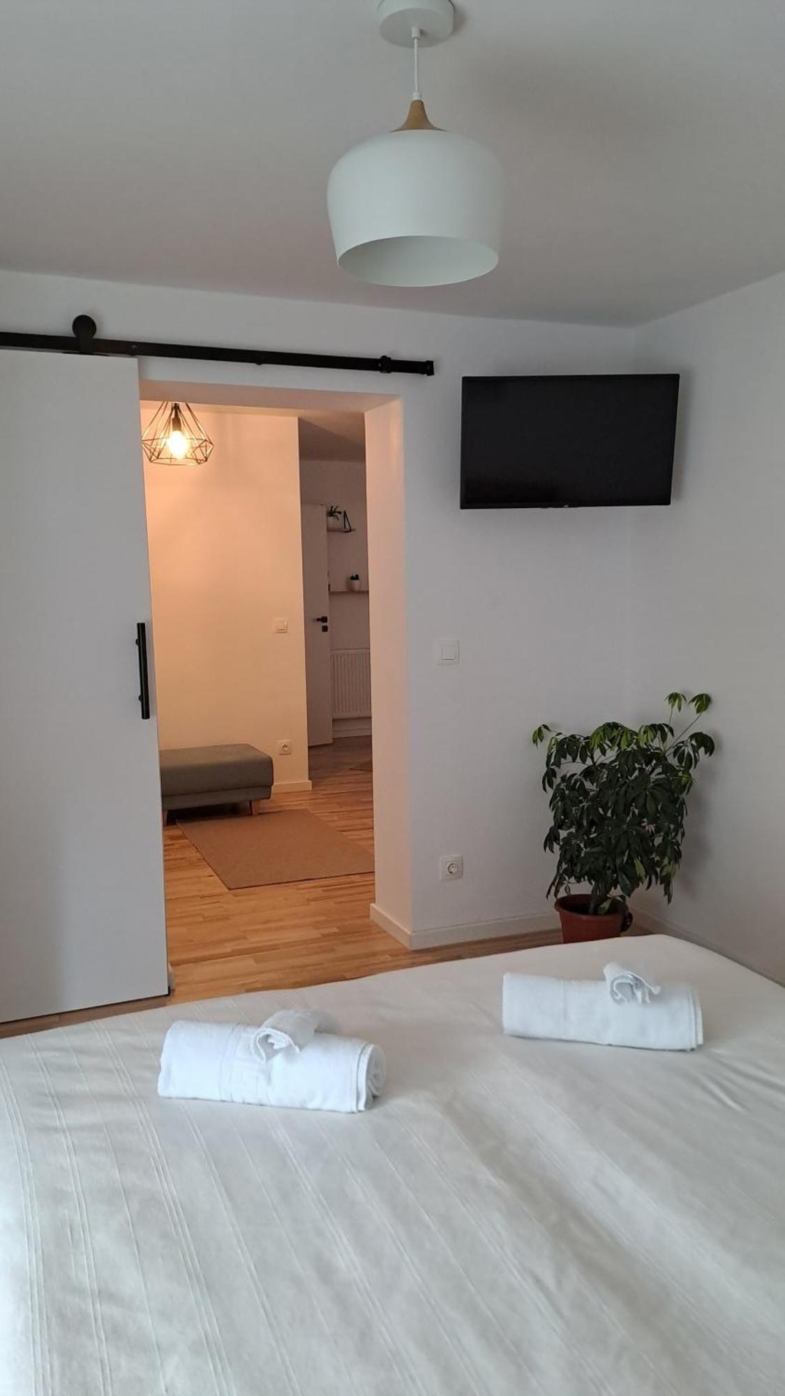 Chrysanthemum Apartment Sighisoara Bagian luar foto